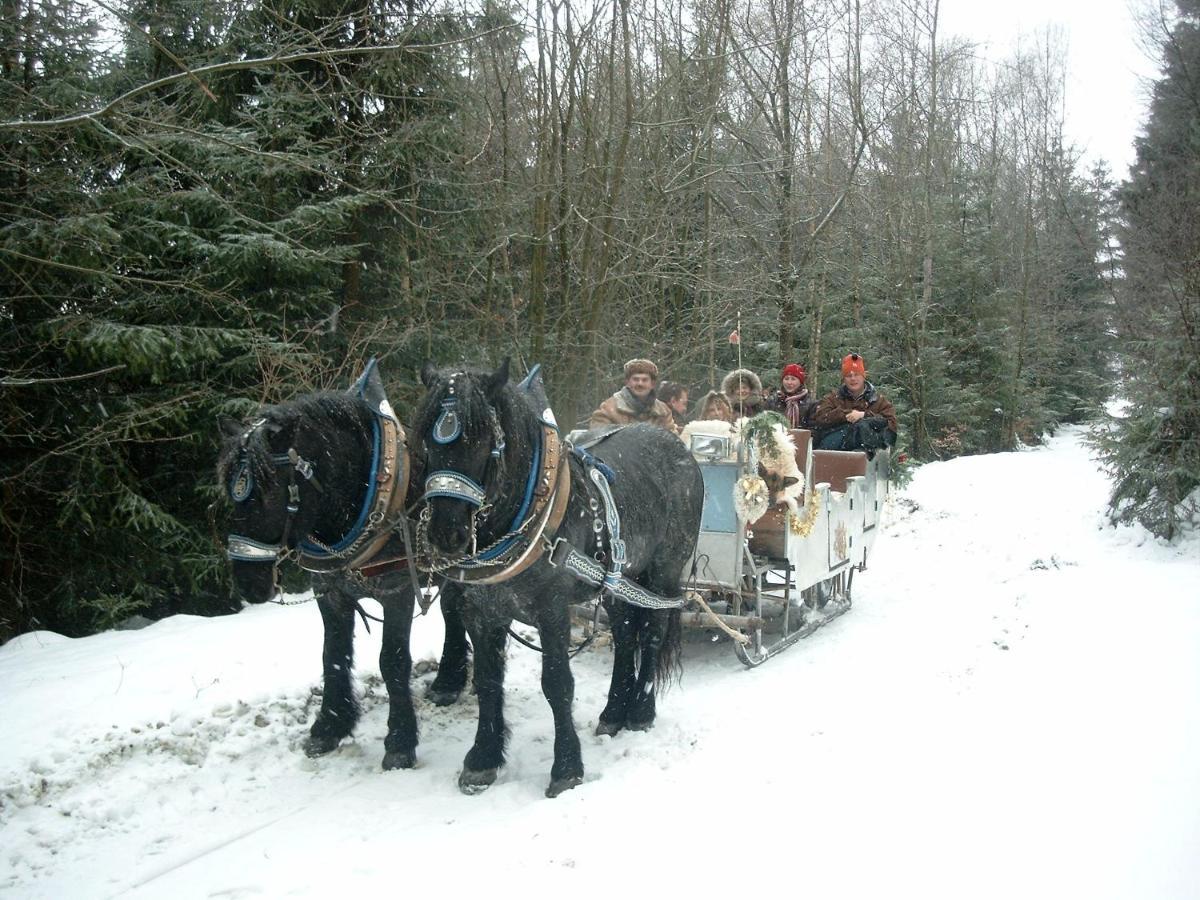 Bayern Ferienland Sonnenwald Apartment Schofweg ภายนอก รูปภาพ
